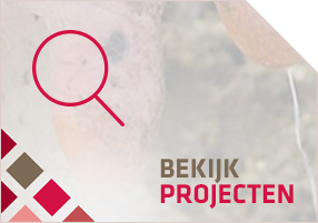 SubBekijkProjectenBtn